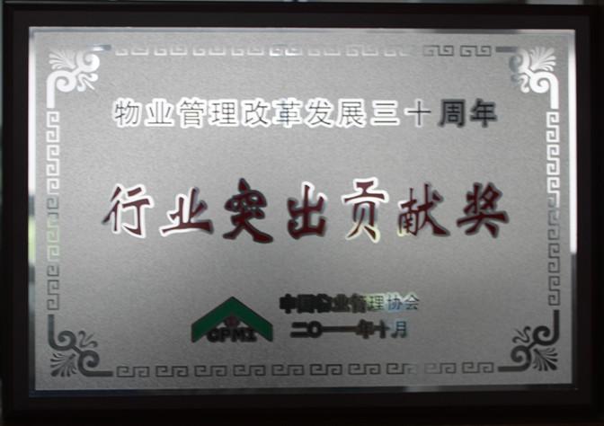 行業(yè)突出貢獻(xiàn)獎(jiǎng)
